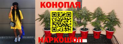 дмт Ирбит