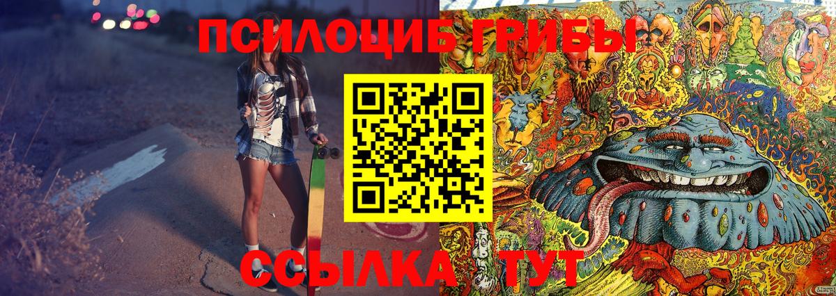Галлюциногенные грибы MAGIC MUSHROOMS  даркнет сайт  Новошахтинск  Вход с VPN 